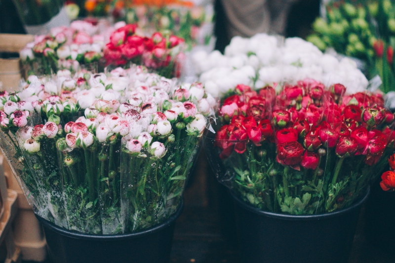 fleuriste-ROUGIERS-min_farmers-market-1209712